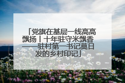 党旗在基层一线高高飘扬丨十年驻守米飘香——驻村第一书记莫日发的乡村印记